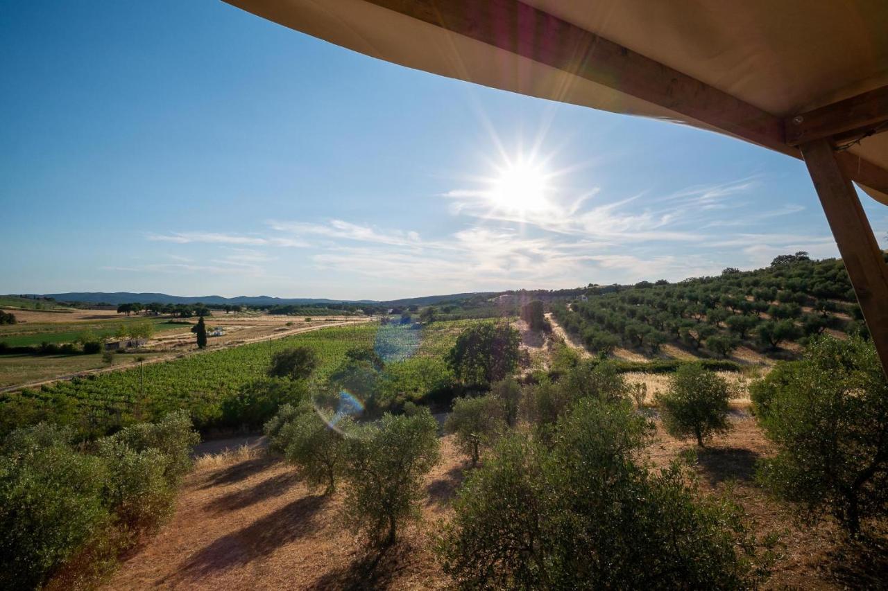 Glamping Podere San Jacopo Massa Marittima Dış mekan fotoğraf