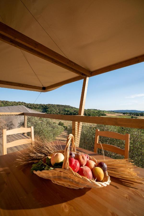 Glamping Podere San Jacopo Massa Marittima Dış mekan fotoğraf