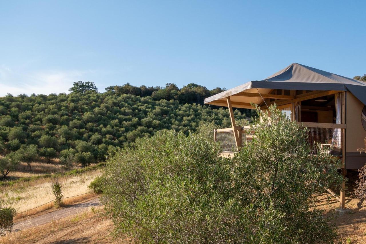 Glamping Podere San Jacopo Massa Marittima Dış mekan fotoğraf
